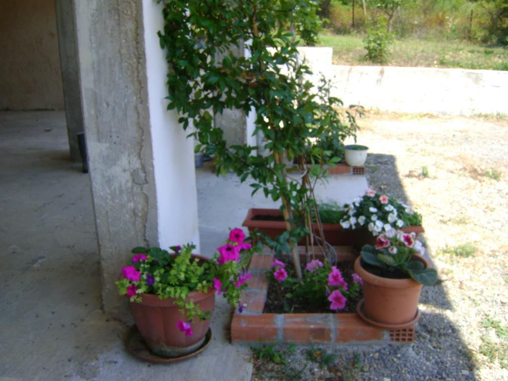 Scorpios Apartments Dassia  Exterior photo